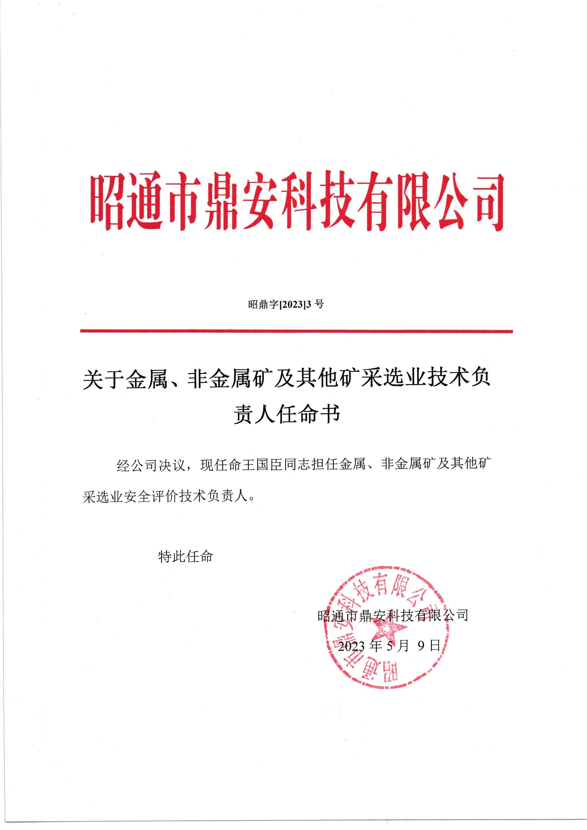 關(guān)于金屬、非金屬礦及其他礦采選業(yè)技術(shù)負(fù)責(zé)人任命書(shū)-王國(guó)臣_2.jpg